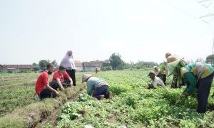 Mas Iin : BUMDes Harus Jadi Icon Perekonomian Desa