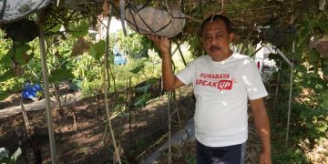 Armuji Cawawali Surabaya