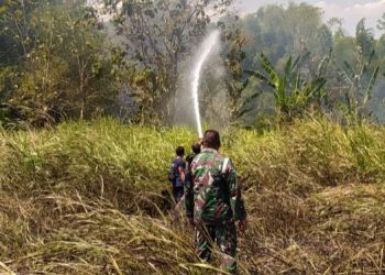 Bersinergi dengan Damkar Ngawi, Yonarmed 12/Divif 2 Kostrad Bantu Padamkan Kebakaran Lahan Warga