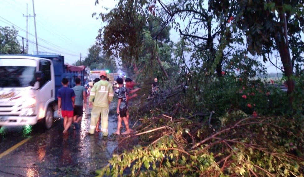 Lagi, Angin Kencang Serang Bojonegoro, Belasan Pohon Tumbang, SPBU Balen Rusak