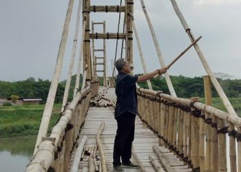Jembatan Wisata Mangrove