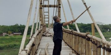 Jembatan Wisata Mangrove