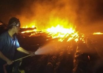 Gudang Kayu Gelondongan di Gresik Ludes Terbakar