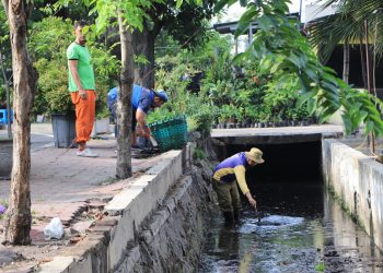 BERSIH DARI SAMPAH: Petugas kebersihan dari Dinas Lingkungan Hidup dan Kebersihan Kabupaten Sidoarjo saat melakukan pembersihan sampah di saluran air. Peningkatan pelayanan kebersihan bisa dilakukan secara maksimal seiring dengan tertibnya pembayaran retribusi pelayanan persampahan.