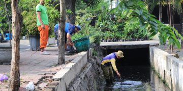 BERSIH DARI SAMPAH: Petugas kebersihan dari Dinas Lingkungan Hidup dan Kebersihan Kabupaten Sidoarjo saat melakukan pembersihan sampah di saluran air. Peningkatan pelayanan kebersihan bisa dilakukan secara maksimal seiring dengan tertibnya pembayaran retribusi pelayanan persampahan.