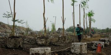DKRTH kebut penanaman pohon jalur hijau untuk menutupi kawasan TPA Benowo