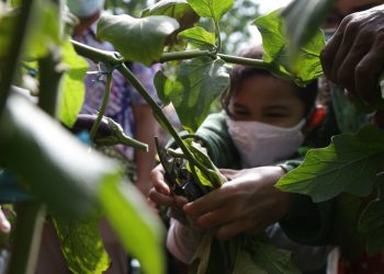 Anak-anak belajar berkebun di hutan kota dan mini Agro Wisata Surabaya.