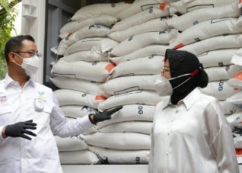 SCWI: Korupsi Mensos Bisa Sampai Surabaya