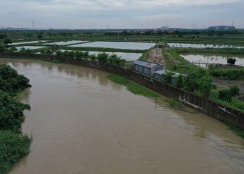 Wali Kota Risma Pastikan Tanggul Kali Lamong Kuat Menahan Debit Air