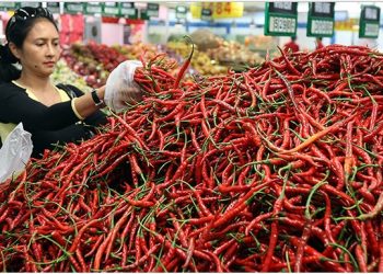 Dampak La Nina, Harga Cabai di Jatim Melambung, di Beberapa Daerah Tembus Rp 100 Ribu/Kg