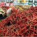 Dampak La Nina, Harga Cabai di Jatim Melambung, di Beberapa Daerah Tembus Rp 100 Ribu/Kg