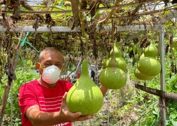 Jadi Penyintas Covid-19, Cak Ji Ingin Donorkan Plasma Konvaselen