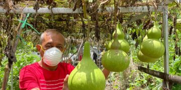 Jadi Penyintas Covid-19, Cak Ji Ingin Donorkan Plasma Konvaselen