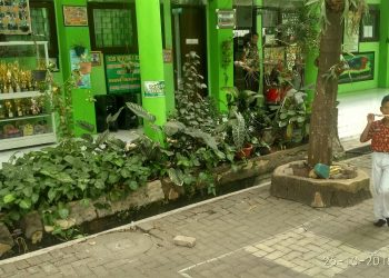 Meski Pandemi, Sekolah Lingkungan Adiwiyata Tetap Berjalan