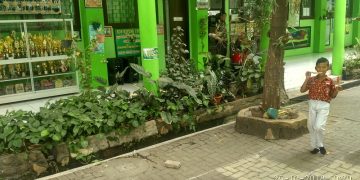 Meski Pandemi, Sekolah Lingkungan Adiwiyata Tetap Berjalan