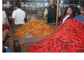 Harga Cabai Rawit di Surabaya Raya Masih Terlalu ‘Pedas’
