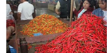 Harga Cabai Rawit di Surabaya Raya Masih Terlalu ‘Pedas’