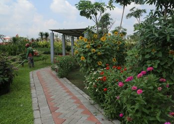 Pemkot Surabaya Akan Buka Delapan Taman Aktif, Tetap Prokes