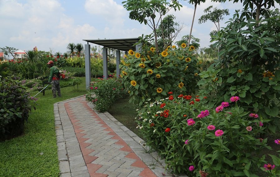Pemkot Surabaya Akan Buka Delapan Taman Aktif, Tetap Prokes
