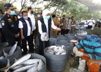 Gubernur Khofifah tinjau bongkar muat ikan di Pelabuhan Perikanan Pantai di Probolinggo