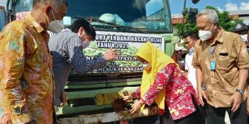 Masa Pandemi, Gresik Ekspor Kacang Hijau ke Filipina