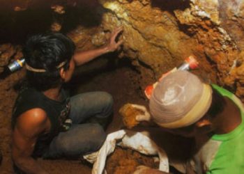 Perhutani Banyuwangi Selatan Akan Razia Penambang Emas Ilegal Pesanggaran