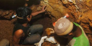 Perhutani Banyuwangi Selatan Akan Razia Penambang Emas Ilegal Pesanggaran