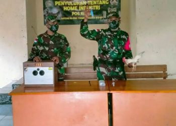 Metode Modern Diyakini bisa Dongkrak Hasil Ternak Ayam