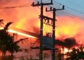 Dua Pabrik Kayu di Gresik Terbakar, Kerugian Miliar Rupiah