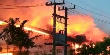Dua Pabrik Kayu di Gresik Terbakar, Kerugian Miliar Rupiah