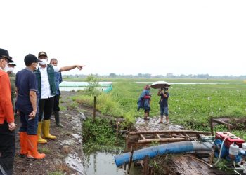 Bupati Sidoarjo Akan Bangun Kisdam untuk Atasi Banjir
