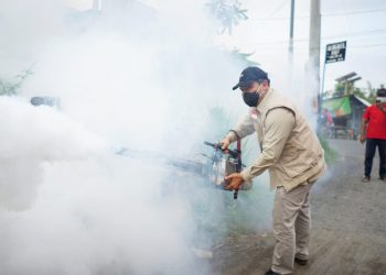 BHS saat melakukan fogging