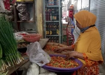 Kenaikan Harga Pangan Pengaruhi Inflasi, Salah Satunya Cabai Rawit