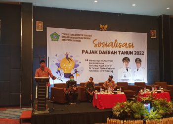 Digitalisasi sebagai Tonggak Pencapaian Target Pajak Daerah
