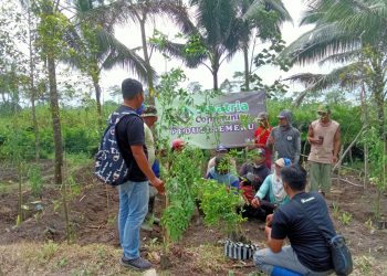 Sinatria Community Peduli Semeru Gerakkan Satu Juta Bibit Pakan Ternak