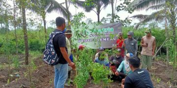 Sinatria Community Peduli Semeru Gerakkan Satu Juta Bibit Pakan Ternak