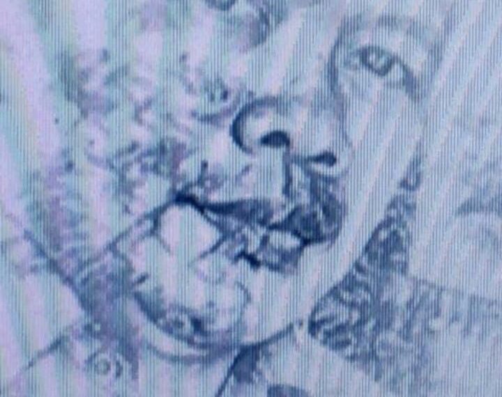 Guru, dalam Pusaran Pengabdian dan Tuntutan Hidup