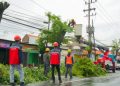 Musim Penghujan, PLN Gresik Bantu Pangkasi Pohon Kota untuk Keamanan