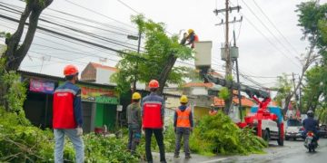 Musim Penghujan, PLN Gresik Bantu Pangkasi Pohon Kota untuk Keamanan