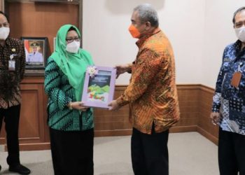 Baik dan Akuntabel, BPKP Nilai Tata Kelola dan Sistem Pengendalian Internal Pemkab Gresik