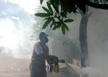 Bambang Haryo Soekartono turun langsung melakukan fogging di Perum Candi Loka, Sidoarjo