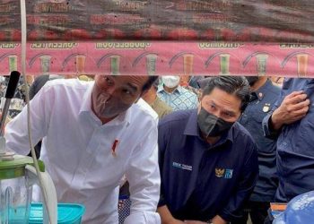 Sejumlah Elemen Beri Dukungan, Erick Thohir Sudah di Track Menuju RI 1