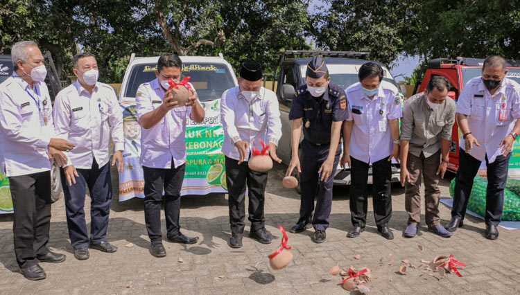 Gresik Ekspor Perdana Jeruk Nipis ke Singapura dan Malaysia