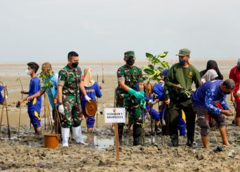 Pangdam V Brawijaya Pimpin Penanaman Ribuan Mangrove di Bangkalan