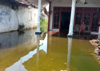 Dua Bulan Terendam Banjir, Warga Dua RW di Desa Kupang Jabon Mulai Mengeluh Gatal-gatal