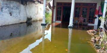Dua Bulan Terendam Banjir, Warga Dua RW di Desa Kupang Jabon Mulai Mengeluh Gatal-gatal