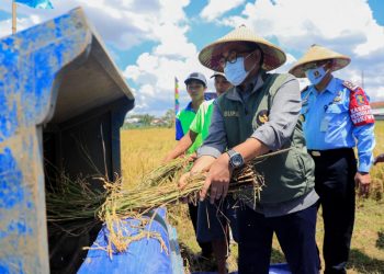 Lapas Pamekasan Panen Raya dan Jual 8.000 Paving Blok Karya Warga Binaan