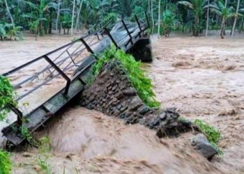 Sikapi Banjir di Kandangan-Pesanggaran, PKB Banyuwangi Segera Hadirkan Walhi