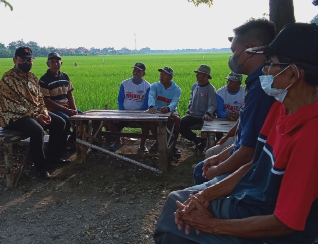 Bertemu Gapoktan Sumorame, BHS Disambati Persoalan Pupuk