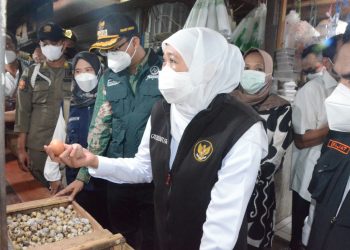 Gubernur dan Bupati Sidak Pasar Larangan Pastikan Harga Sembako Aman